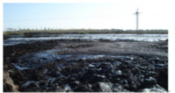 ��ԭ����Ⱦ�����أ������������า�ǵر�