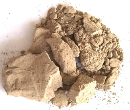 D0010529