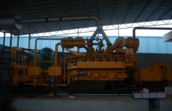 DSCN9524
