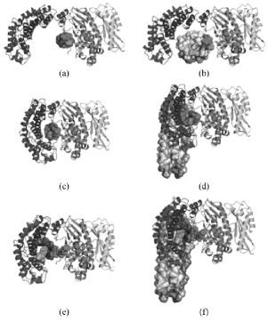 HGSZ201909001_04500